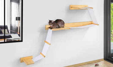 Composition murale pour chat