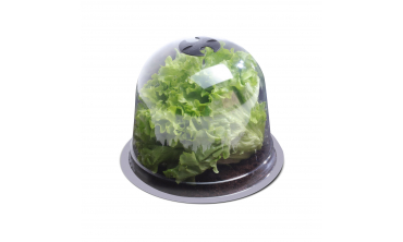 Cloche à salade