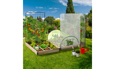 Serre potager Aroma Modula Tomato