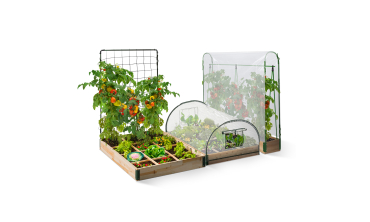 Serre potager Aroma Modula Tomato