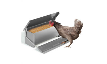 Mangeoire automatique pour poules
