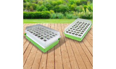 Kit germination