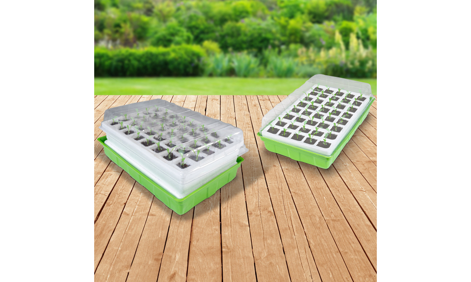 Kit germination Kit germination