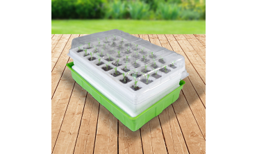 Kit germination