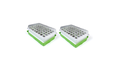 Kit germination