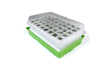 Kit germination