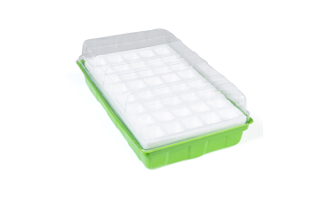 Kit germination