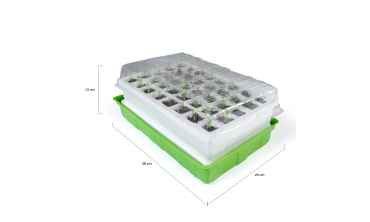 Kit germination
