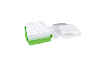 Kit germination