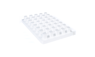 Kit germination