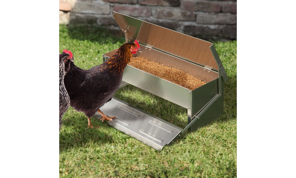 Mangeoire automatique pour poules Mangeoire automatique pour poules