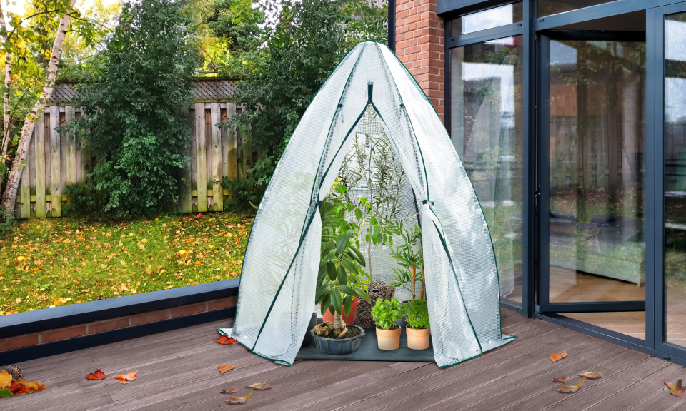 Serre d'hivernage Teepee 160x160x180cm