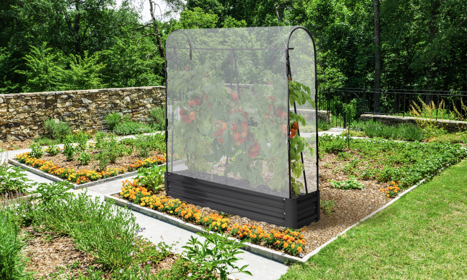 Serres de potager spéciales tomates en métal - lot de 2