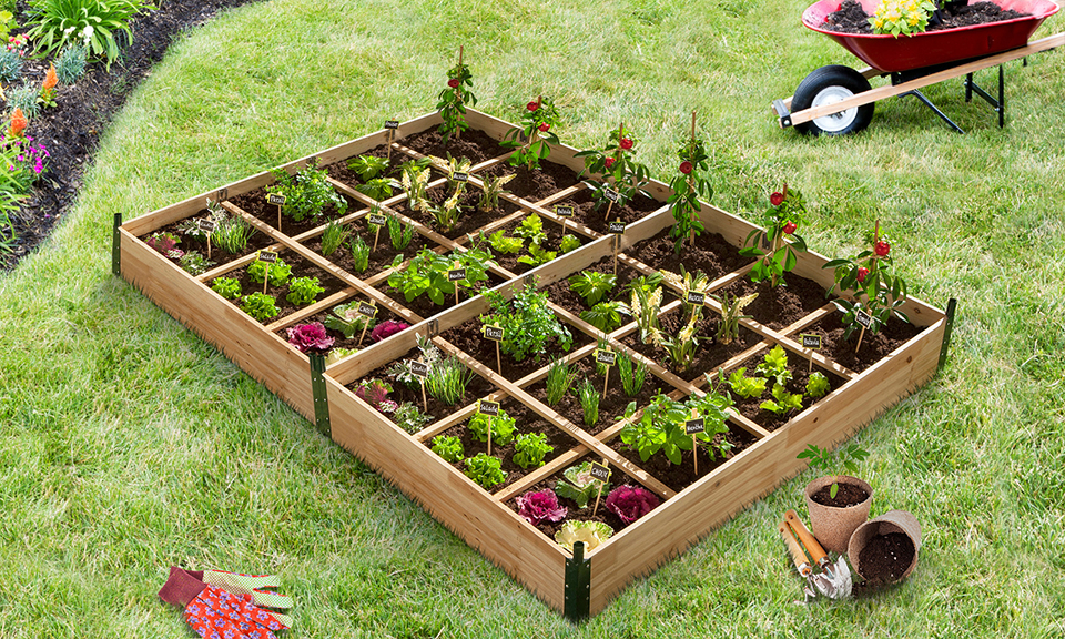 Serres de potager 12 compartiments Aroma en bois avec bâche - Lot de 2