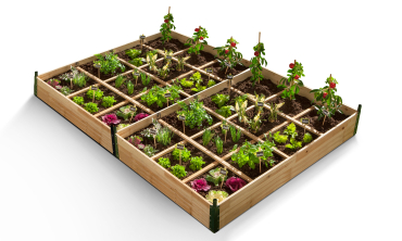 Serres de potager 12 compartiments Aroma en bois avec bâche - Lot de 2
