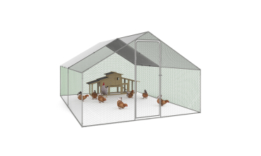 Enclos grillagé pour poules 12m² - 3x4m