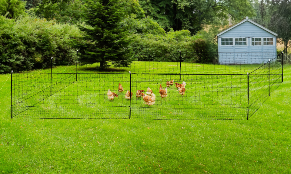 Kit clôture Nomade pour poules 24m²